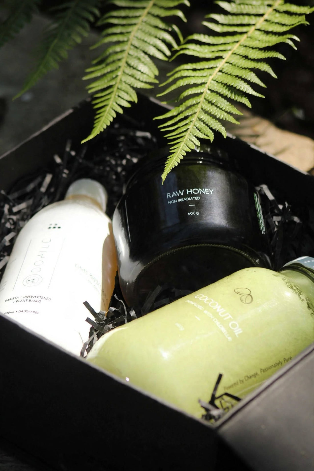Spring Starter Signature Collection Bundle